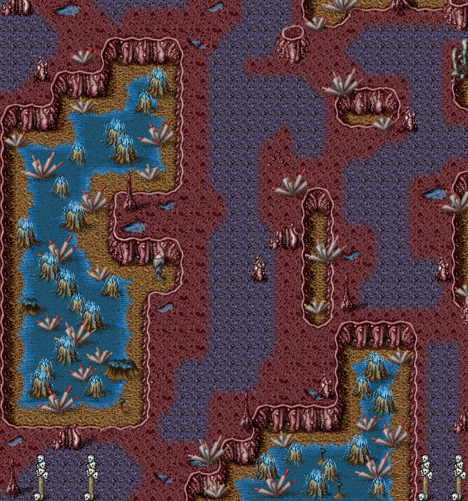 Viper Cave 6