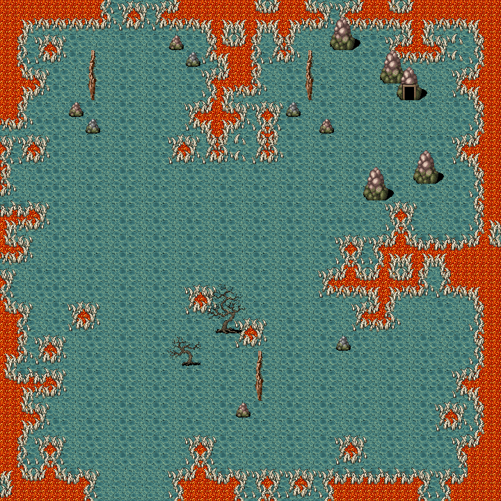 Crocodile 5