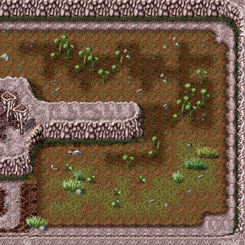 Shogun 2
